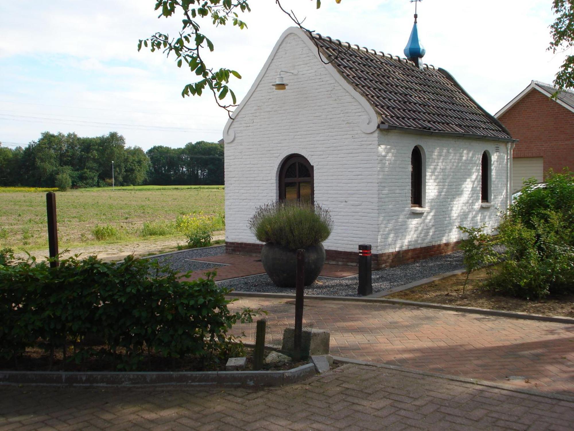 B & B Leudal Haelen Exteriör bild